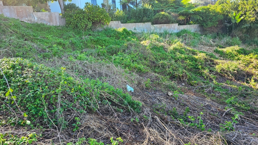 0 Bedroom Property for Sale in Outeniqua Strand Western Cape